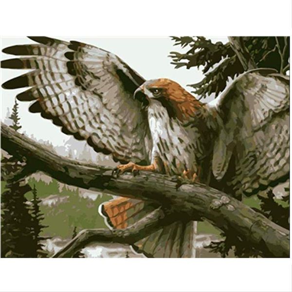 paintings 40x50cm frame diy painting by numbers kits colorful eagle animals hand painted oil paint for home decor art
paintings 40x50cm frame diy painting by numbers kits colorful eagle animals hand painted oil paint for home decor art
