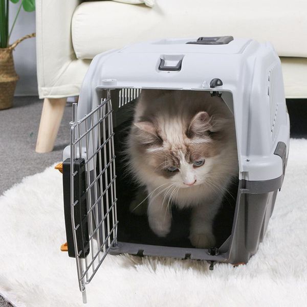 cat beds & furniture pet dog crate cats universal transport breathable portable home out multi-function tent1
cat beds & furniture pet dog crate cats universal transport breathable portable home out multi-function tent1