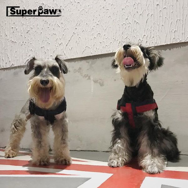 dog collars & leashes fashion collar leash harness for dogs pets puppy seat belt safety small medium large leading accessories aql02
dog collars & leashes fashion collar leash harness for dogs pets puppy seat belt safety small medium large leading accessories aql02