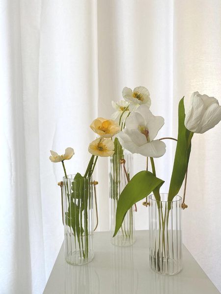 ins korean style flower arrangement metal portable vertical glass vase light luxury modern home decoration vases
ins korean style flower arrangement metal portable vertical glass vase light luxury modern home decoration vases