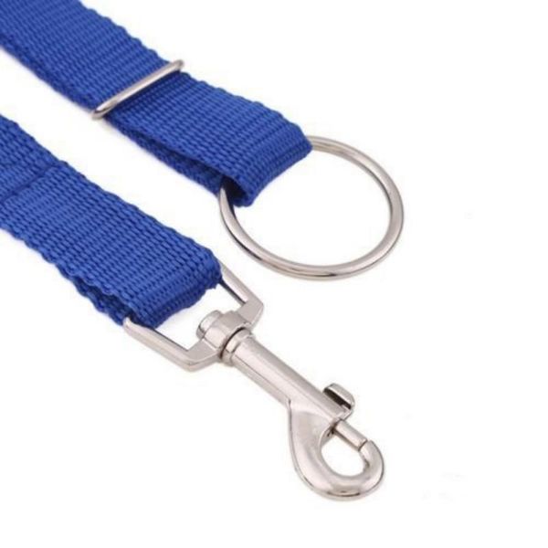 dog collars & leashes joylive the instant trainer chain ring pet leash rope walking tool suitable for small and medium-sized dogs
dog collars & leashes joylive the instant trainer chain ring pet leash rope walking tool suitable for small and medium-sized dogs