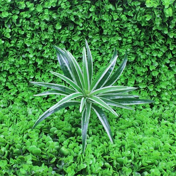green plants for home decoration plant wall material chlorophytum phnom penh decorative flowers & wreaths
green plants for home decoration plant wall material chlorophytum phnom penh decorative flowers & wreaths
