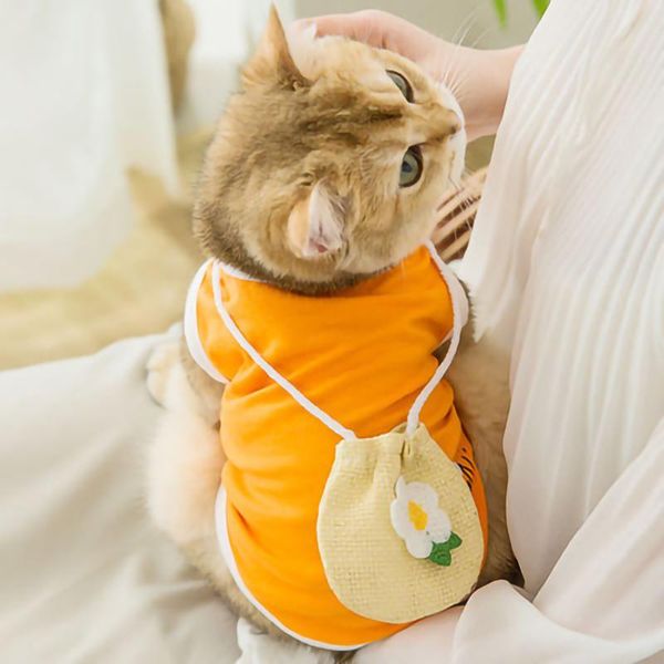 cat costumes style pet vest spring and summer thin section breathable small dog two feet cool cartoon clothes
cat costumes style pet vest spring and summer thin section breathable small dog two feet cool cartoon clothes