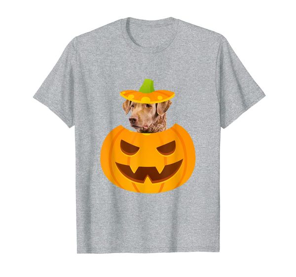 Chesapeake Bay Retriever Peeking out of Jack-o-Lantern T-Shirt, Mainly pictures
Chesapeake Bay Retriever Peeking out of Jack-o-Lantern T-Shirt, Mainly pictures