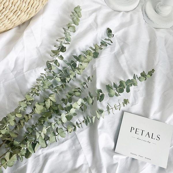 bunch natural eucalyptus leaves dried flower wedding home ornament easter decoration decorative flowers & wreaths
bunch natural eucalyptus leaves dried flower wedding home ornament easter decoration decorative flowers & wreaths