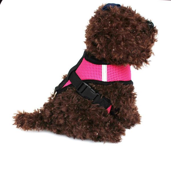 pet dog harness small chain teddy vest breathable mesh outdoor walking leads puppies chest strap leash set collars & leashes
pet dog harness small chain teddy vest breathable mesh outdoor walking leads puppies chest strap leash set collars & leashes