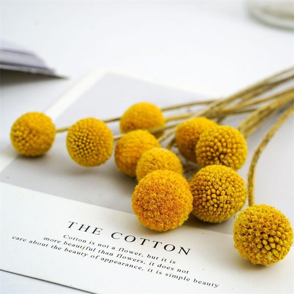 decorative flowers & wreaths 10pcs/lot real dried pampas grass golden ball wedding flower bunch natural plants home decor mariage decoration
decorative flowers & wreaths 10pcs/lot real dried pampas grass golden ball wedding flower bunch natural plants home decor mariage decoration