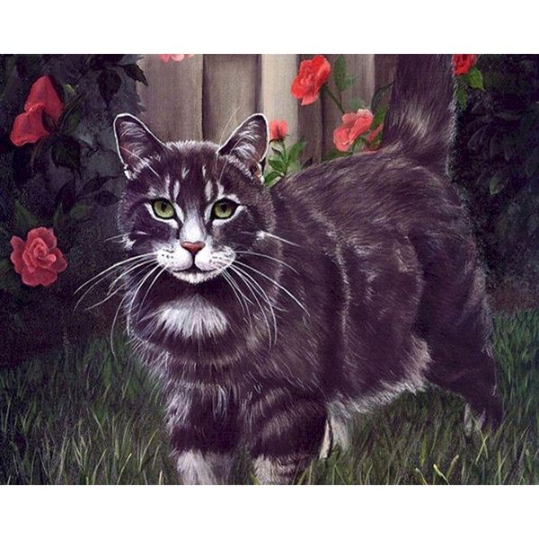 paintings by numbers safflower black cat oil handpainted color animal number home decortion artwork for living room
paintings by numbers safflower black cat oil handpainted color animal number home decortion artwork for living room