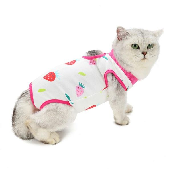 pet cat sterilization suit summer after recovery for cats anti-licking kitten vest weaning s-xl costumes
pet cat sterilization suit summer after recovery for cats anti-licking kitten vest weaning s-xl costumes