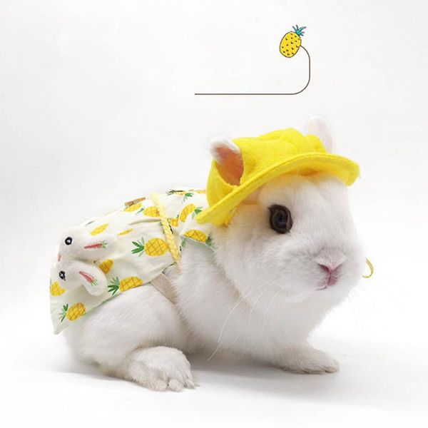 cat costumes accessories kitten dog ears cosplay cute pet costume leash halloween outfits pography prop hat decorations
cat costumes accessories kitten dog ears cosplay cute pet costume leash halloween outfits pography prop hat decorations