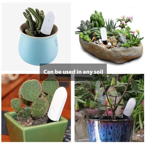 watering equipments global version flower monitor garden plants gross water digital nutrient tuin jardinage detection soil smart sensor1
watering equipments global version flower monitor garden plants gross water digital nutrient tuin jardinage detection soil smart sensor1