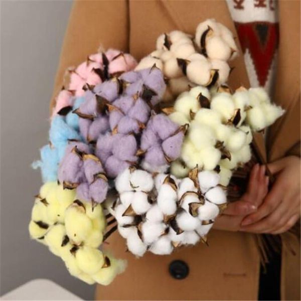 decorative flowers & wreaths 25cm 10pcs real kapok flower 100% natural true dried wedding party decoration home garden decor cotton plant
decorative flowers & wreaths 25cm 10pcs real kapok flower 100% natural true dried wedding party decoration home garden decor cotton plant
