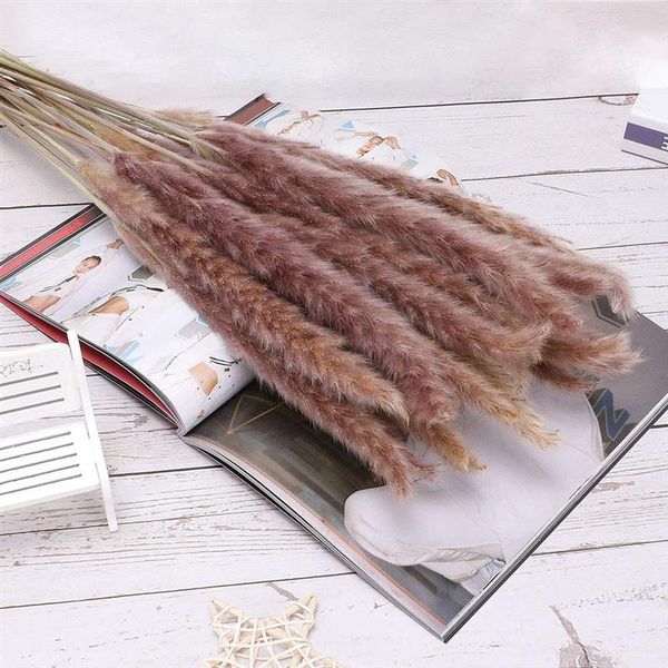 decorative flowers & wreaths 15pcs natural dryness dried pampas grass bouquet for home office wedding decoration 55cm
decorative flowers & wreaths 15pcs natural dryness dried pampas grass bouquet for home office wedding decoration 55cm