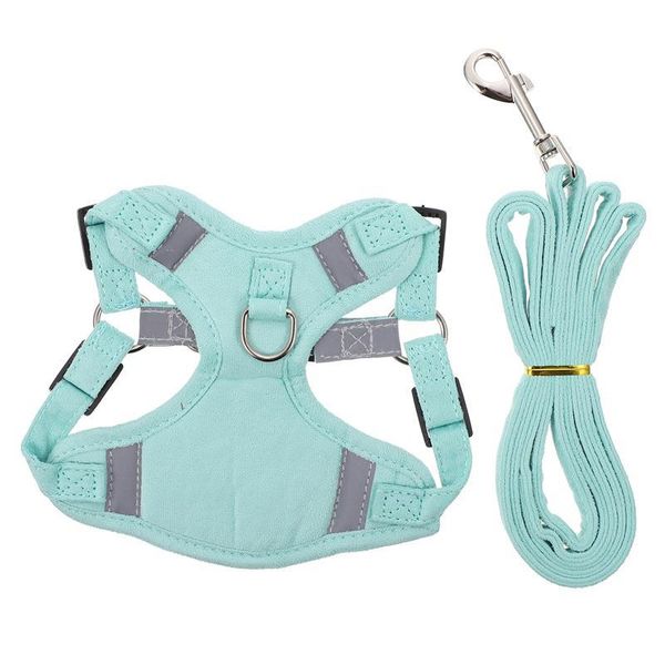 cat collars & leads 1 set harness leash traction rope and vest kit pet chest strap supplies
cat collars & leads 1 set harness leash traction rope and vest kit pet chest strap supplies