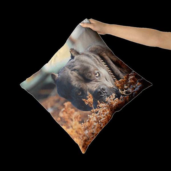 creative dog cushion cover cane corso printing throw pillow case home decoration pillowcase cushion/decorative
creative dog cushion cover cane corso printing throw pillow case home decoration pillowcase cushion/decorative