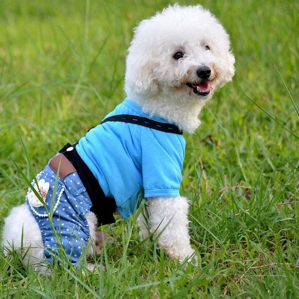 dog apparel fashion style rompers blue clothes for pet clothing puppy girl dress cute skirt boy jumpsuits coat jacket bib pants
dog apparel fashion style rompers blue clothes for pet clothing puppy girl dress cute skirt boy jumpsuits coat jacket bib pants