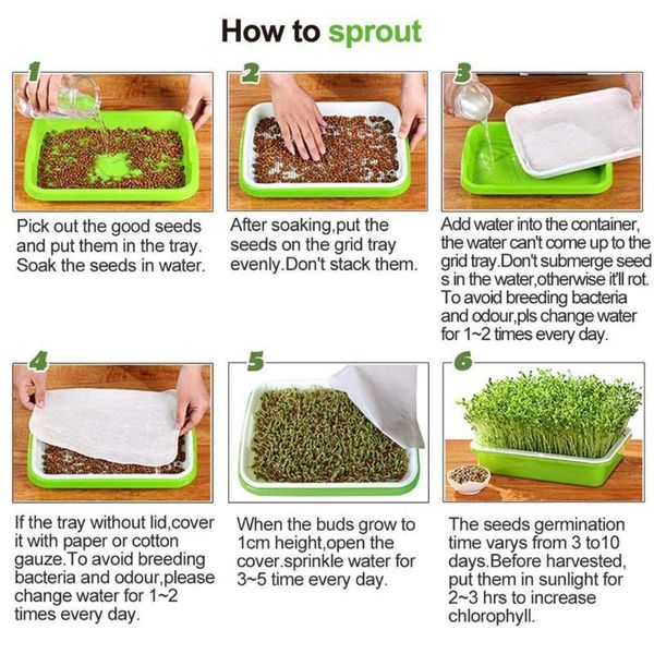 planters & pots germination sprouting tray labels planting box plastic props accessory
planters & pots germination sprouting tray labels planting box plastic props accessory