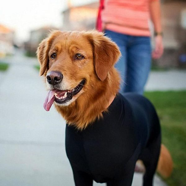 dog apparel recovery shirt pet puppy care suit long sleeves jumpsuit anti licking wounds help post operative healing
dog apparel recovery shirt pet puppy care suit long sleeves jumpsuit anti licking wounds help post operative healing