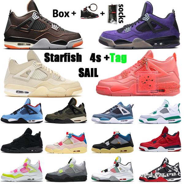 starfish mens 4 4s basketball shoes sail travis purple suede union undefeated jumpman fiba bred black cat tattoo womens trainers sneakers
starfish mens 4 4s basketball shoes sail travis purple suede union undefeated jumpman fiba bred black cat tattoo womens trainers sneakers