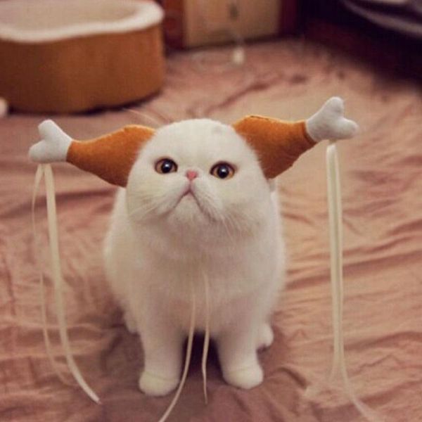 cat costumes 2021 dog drumstick headband halloween chicken leg party funny props headdress golden retriever yorkie accessories
cat costumes 2021 dog drumstick headband halloween chicken leg party funny props headdress golden retriever yorkie accessories