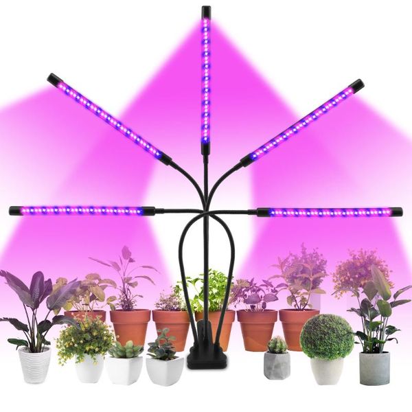 grow lights aquarium succulents plant led light usb 5v phyto uv lamp phytolamp for plants seedlings full spectrum hydroponics flower 
grow lights aquarium succulents plant led light usb 5v phyto uv lamp phytolamp for plants seedlings full spectrum hydroponics flower