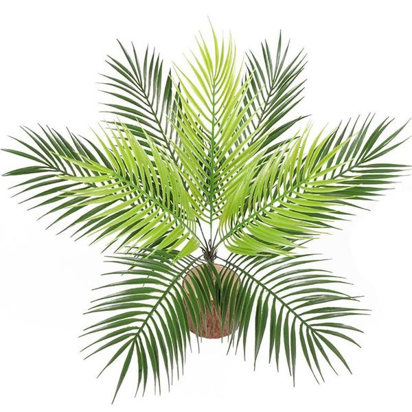 artificial plants plastic tropical palm tree leaves branch home garden decoration accessories pography decorative flowers & wreaths
artificial plants plastic tropical palm tree leaves branch home garden decoration accessories pography decorative flowers & wreaths