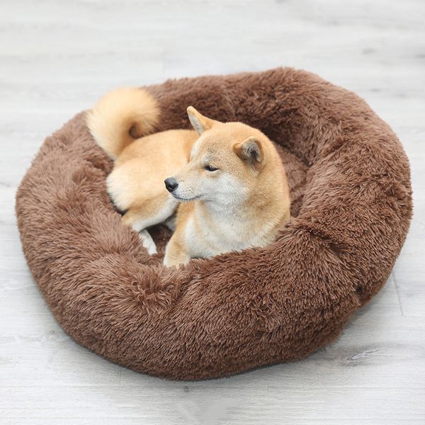 er soft dog bed push cat mat dog beds for arge dogs bed house round cushion pet product accessories dropshipping
er soft dog bed push cat mat dog beds for arge dogs bed house round cushion pet product accessories dropshipping