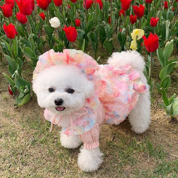 spring and summer pets puppy skirt cute breathable dog cat net yarn clothes bichon teddy tutu pet pettiskirt apparel
spring and summer pets puppy skirt cute breathable dog cat net yarn clothes bichon teddy tutu pet pettiskirt apparel