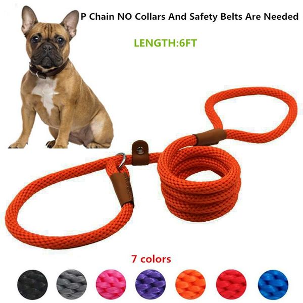 chain dog leash no collars and safety belts are needed slip rope training leads for medium large supplies & leashes
chain dog leash no collars and safety belts are needed slip rope training leads for medium large supplies & leashes