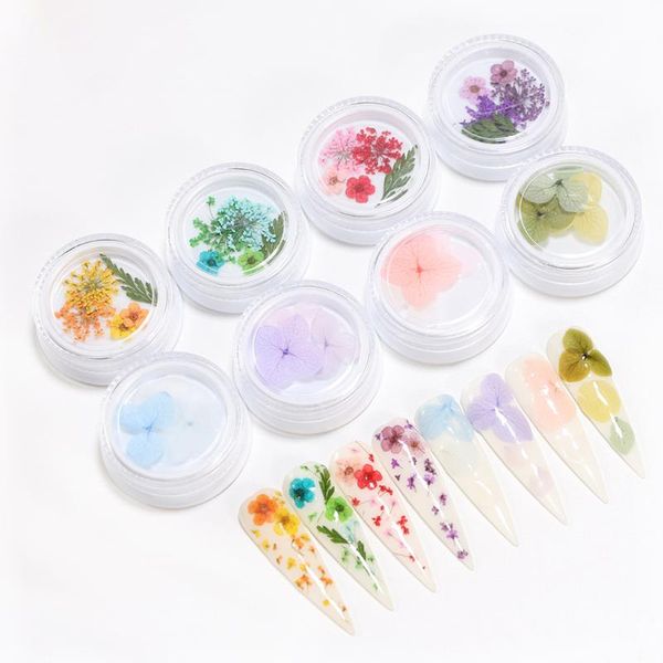 nail art decorations 3d real dry dried flower for uv gel acrylic tips decoration w/ box, Silver;gold
nail art decorations 3d real dry dried flower for uv gel acrylic tips decoration w/ box, Silver;gold