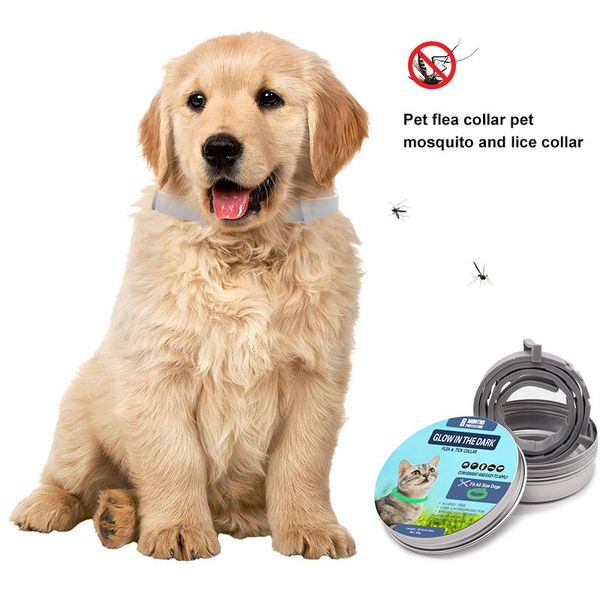 cat collars & leads pet flea collar for cats mosquito repellent insect in vitro dog adjustable t-neck safety luminous
cat collars & leads pet flea collar for cats mosquito repellent insect in vitro dog adjustable t-neck safety luminous