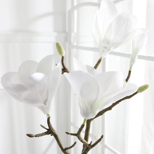 76cm orchid artificial flower stamen non-woven fabrics fake magnolia flowers handmade diy party home wedding decoration decor decorative & w
76cm orchid artificial flower stamen non-woven fabrics fake magnolia flowers handmade diy party home wedding decoration decor decorative & w