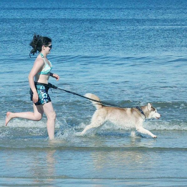dog collars & leashes multifunctional running traction belt reflective pull leash rope eouble elastic roper etractable walk artifact
dog collars & leashes multifunctional running traction belt reflective pull leash rope eouble elastic roper etractable walk artifact