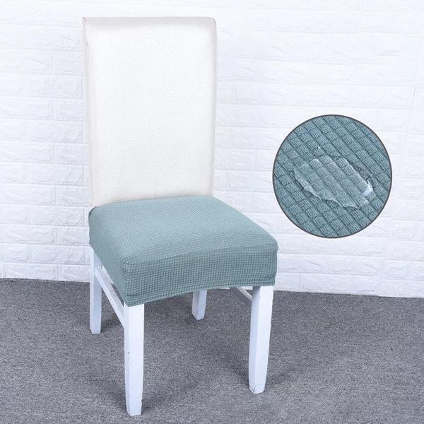 chair covers velvet jacquard dining cover spandex elastic slipcover case for chairs stretch christmas waterproof 1pc
chair covers velvet jacquard dining cover spandex elastic slipcover case for chairs stretch christmas waterproof 1pc
