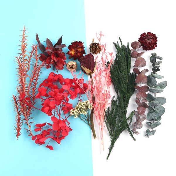decorative flowers & wreaths real dried flower dry plants immortal material pack for handmade po frame making craft diy accessories home dec
decorative flowers & wreaths real dried flower dry plants immortal material pack for handmade po frame making craft diy accessories home dec