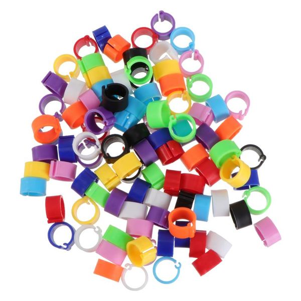 other bird supplies 100 pcs birds identification pigeons parrot opening foot rings (random color)
other bird supplies 100 pcs birds identification pigeons parrot opening foot rings (random color)