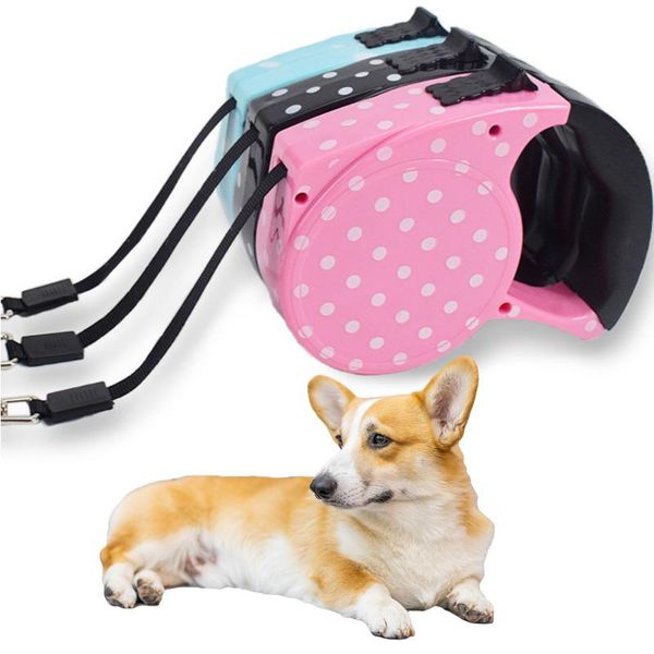 dog collars & leashes 5m long pet automatic leash durable cat lead extending puppy walking running roulette for dogs supplies
dog collars & leashes 5m long pet automatic leash durable cat lead extending puppy walking running roulette for dogs supplies
