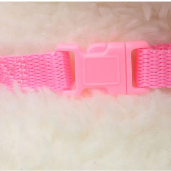 dog collars & leashes 2021 pet with angel and set small cats puppy leads wing straps adjustable harness accesso
dog collars & leashes 2021 pet with angel and set small cats puppy leads wing straps adjustable harness accesso