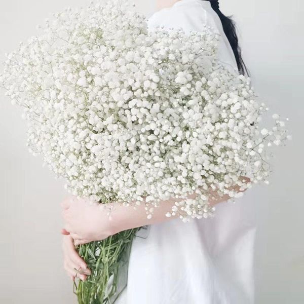 decorative flowers & wreaths dekoration 200g gypsophila breath natural dried preserved baby's bouquet babysbreath gedroogde wedding dec
decorative flowers & wreaths dekoration 200g gypsophila breath natural dried preserved baby's bouquet babysbreath gedroogde wedding dec