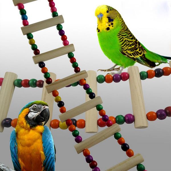 other bird supplies colorful parrot toys climbing hanging ladder bridge macaw cage chew decor pet
other bird supplies colorful parrot toys climbing hanging ladder bridge macaw cage chew decor pet