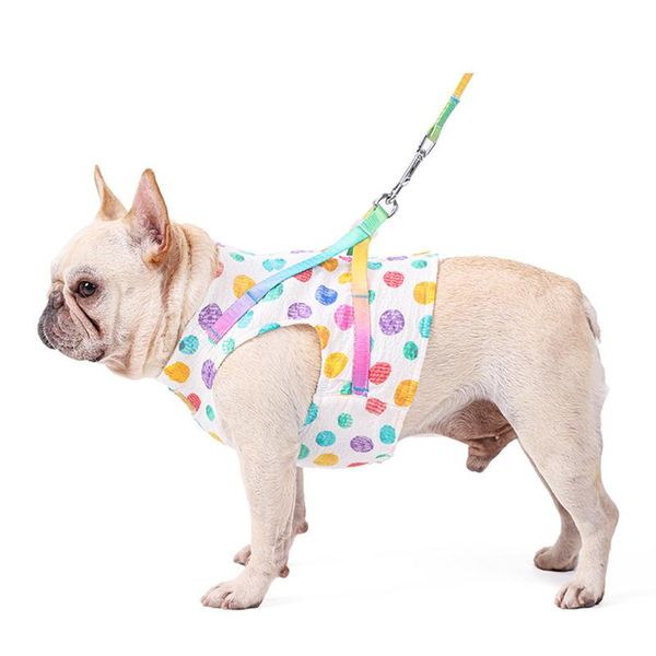 dog collars & leashes cat harness vest collar outdoor walking lead leash set for puppy dogs cartoon pet
dog collars & leashes cat harness vest collar outdoor walking lead leash set for puppy dogs cartoon pet