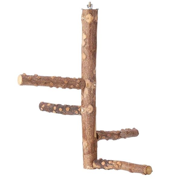 bird cage perch birdcage stands parrot play wooden branches for conure parakeet budgie-medium cages
bird cage perch birdcage stands parrot play wooden branches for conure parakeet budgie-medium cages