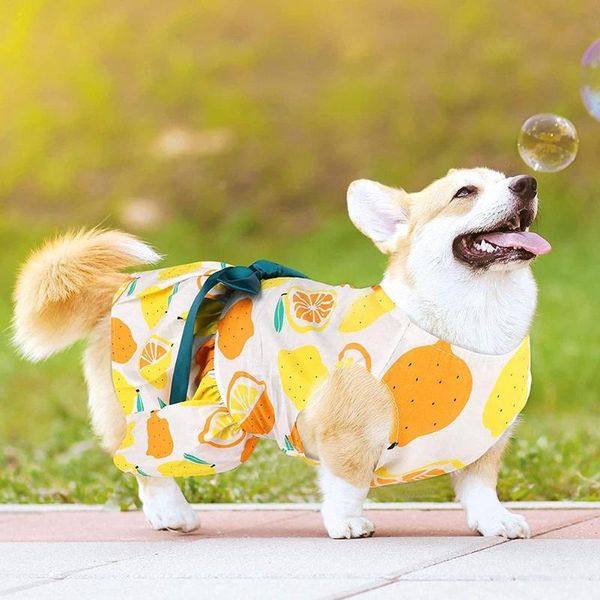 dog apparel polyester pet clothes summer plaid skirt for clothing supplies 
dog apparel polyester pet clothes summer plaid skirt for clothing supplies