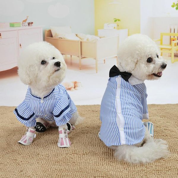 dog apparel striped shirt pet clothes lovely cute clothing light breathable spring summer costume for chihuahua teddy
dog apparel striped shirt pet clothes lovely cute clothing light breathable spring summer costume for chihuahua teddy