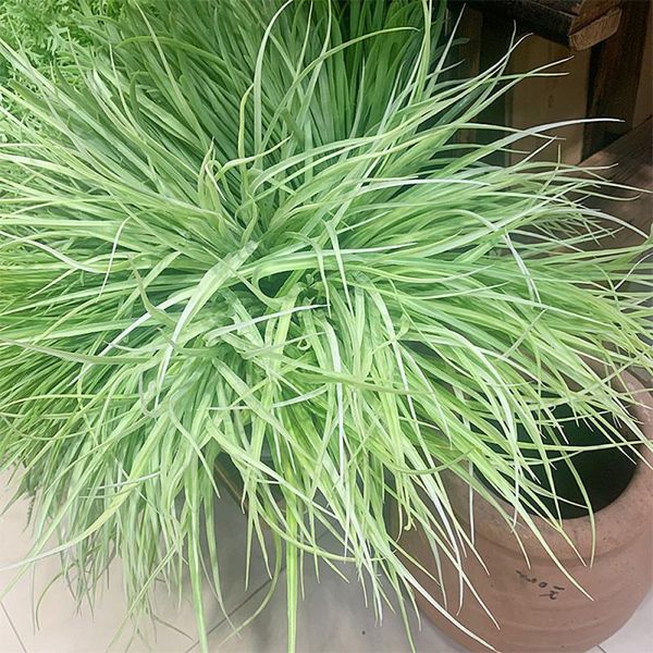 decorative flowers & wreaths artificial green plant wall material simulation plastic grass diy home window decoration po props supplies
decorative flowers & wreaths artificial green plant wall material simulation plastic grass diy home window decoration po props supplies