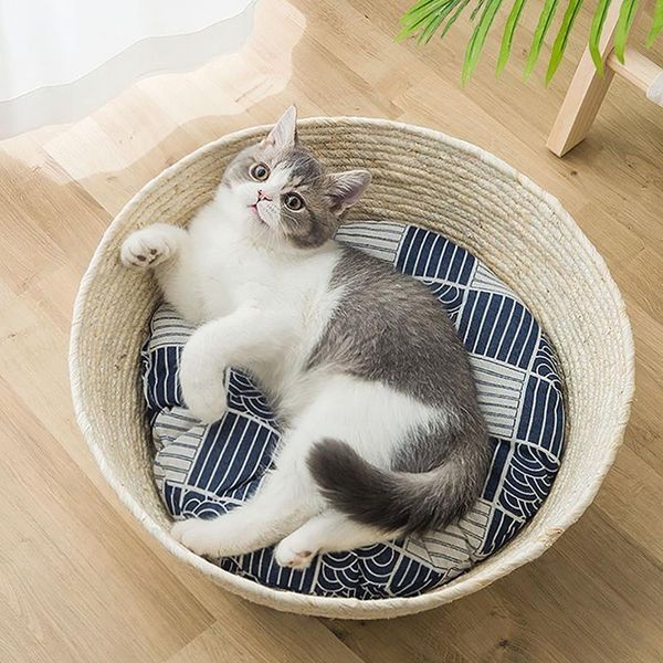 cat beds & furniture fashion pet scratching bed round woven sleeping kitten puppy scrapers grinding nails scratcher mats supplies
cat beds & furniture fashion pet scratching bed round woven sleeping kitten puppy scrapers grinding nails scratcher mats supplies