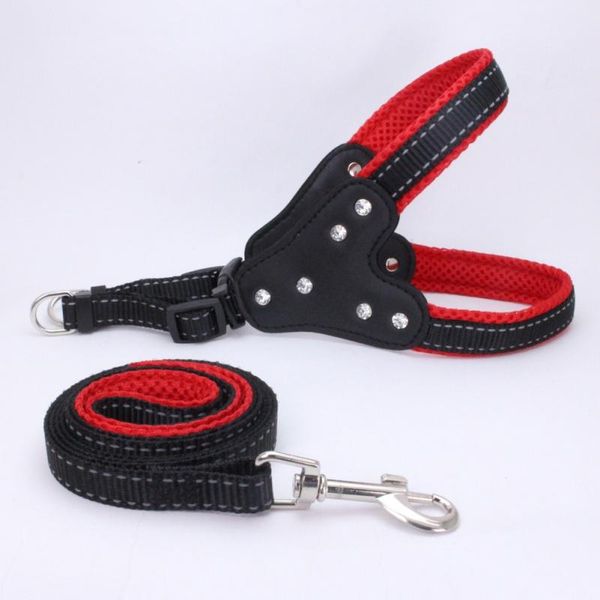 dog collars & leashes harnesses leads chihuahua rhinestone bone velvet leather for small pet dogs puppy teacup care reflective safety vest
dog collars & leashes harnesses leads chihuahua rhinestone bone velvet leather for small pet dogs puppy teacup care reflective safety vest