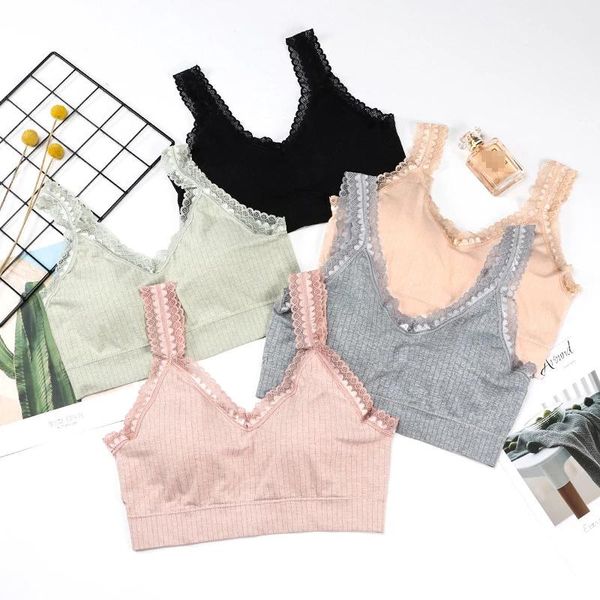 bra lace underwear brathable push up female gym wear women fitness yoga sportswear seamless sport running outfit
bra lace underwear brathable push up female gym wear women fitness yoga sportswear seamless sport running outfit