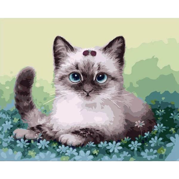 paintings cute kitten paint by numbers coloring hand painted wall art kits drawing canvas diy oil painting pictures
paintings cute kitten paint by numbers coloring hand painted wall art kits drawing canvas diy oil painting pictures