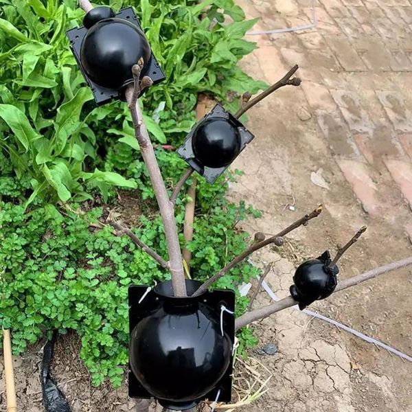 planters & pots 5pcs plant root growing box cutting grafting rooting garden propagation ball supplies
planters & pots 5pcs plant root growing box cutting grafting rooting garden propagation ball supplies